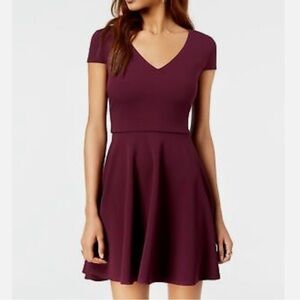 NWOT Plum VNeck Skater Dress